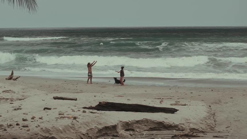 Two people play volleyball with a dog on the beach