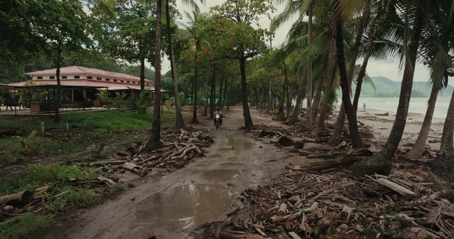 Two people on dirt bikes are riding on a muddy path next to a tropical beach the path is lined with palm trees and what appears to be driftwood