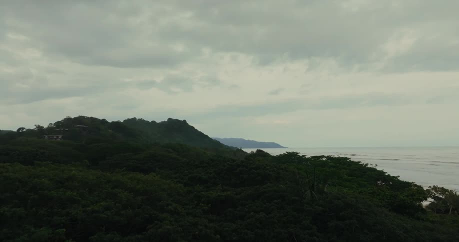A lush green forest stretches to the coastline under a cloudy sky