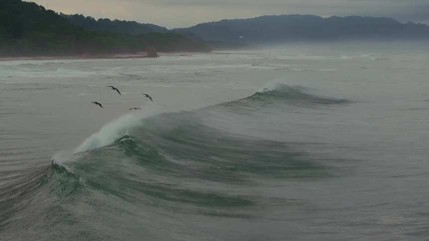 Pelicans fly over the rolling waves by the shore