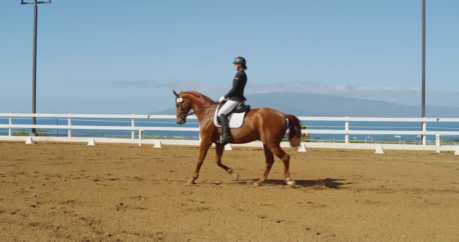A woman rides atop a horse that is trotting across an enclosure