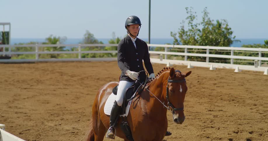 The video shows an equestrian riding a horse in a dirt arena with their back to the camera the horse is walking steadily as the rider sits tall and relaxed in the saddle the background includes a wooden fence and palm trees suggesting a warm and sunny
