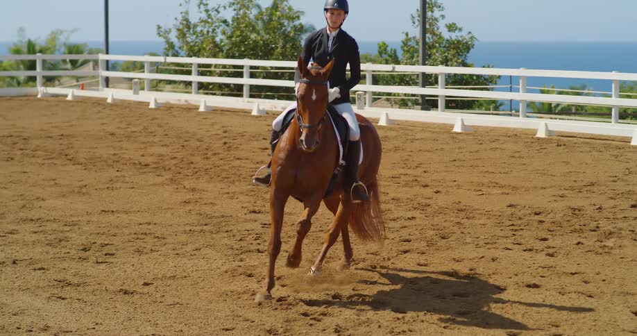 Woman wearing riding gear riding a horse outdoors next to the ocean during day time