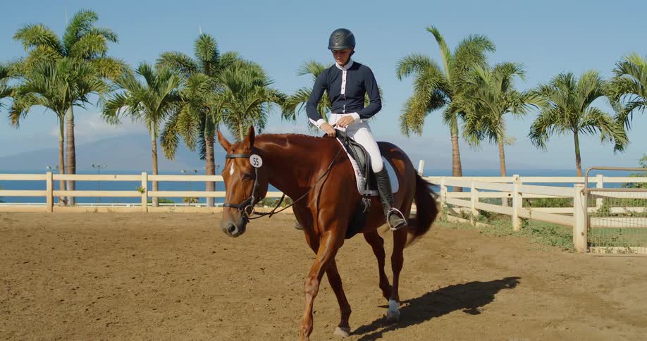 Equestrian rider in uniform rides a brown horse in an outdoor arena