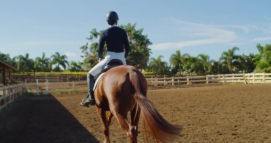 The video shows an equestrian riding a horse in a dirt arena with their back to the camera the horse is walking steadily as the rider sits tall and relaxed in the saddle in the background there is a wooden fence and palm trees suggesting a warm and s