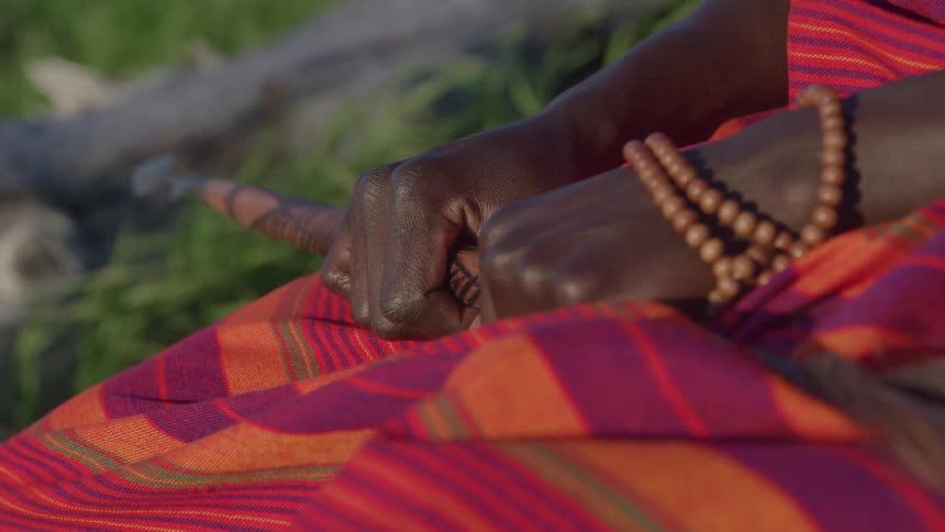 The hands of a person wearing a red dress holding a twig