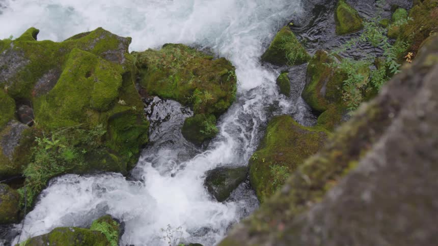 A rushing river with white rapids flows between large rocks covered in moss