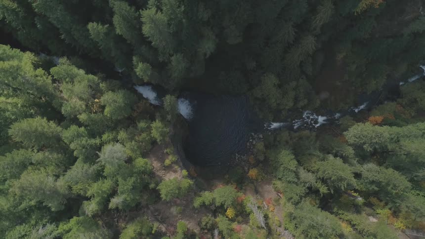 A large river flows over rocks as it passes through a dense forest