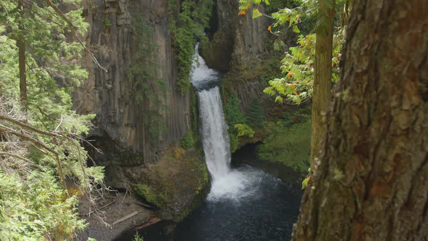 A tall waterfall cascades over a rocky cliff face into a dark pool of water with a brown tree trunk and green foliage in the foreground