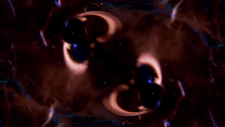 A closeup abstract animation of dark blue and brown liquid shapes is shown on a black background the shapes move and pulse with some forming circles and others looking like distorted lines