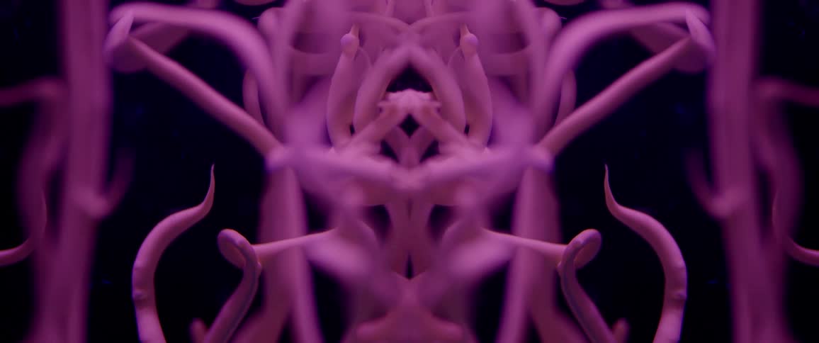 Purple shapes curl and tumble down
