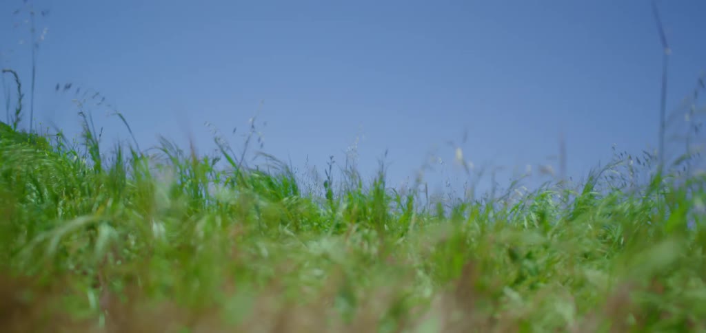 The man runs through the grass into the distance