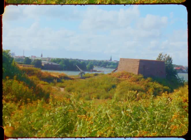 The strong wind blows the budgets on the shore line