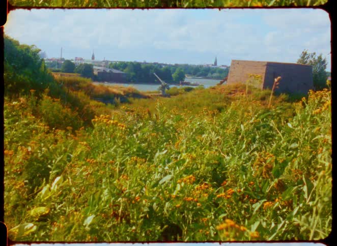 Wideshot landscape shows a field of tall green grass and scattered yellow wildflowers in the foreground with the background revealing a glimpse of a city skyline a large body of water and some old stone structures