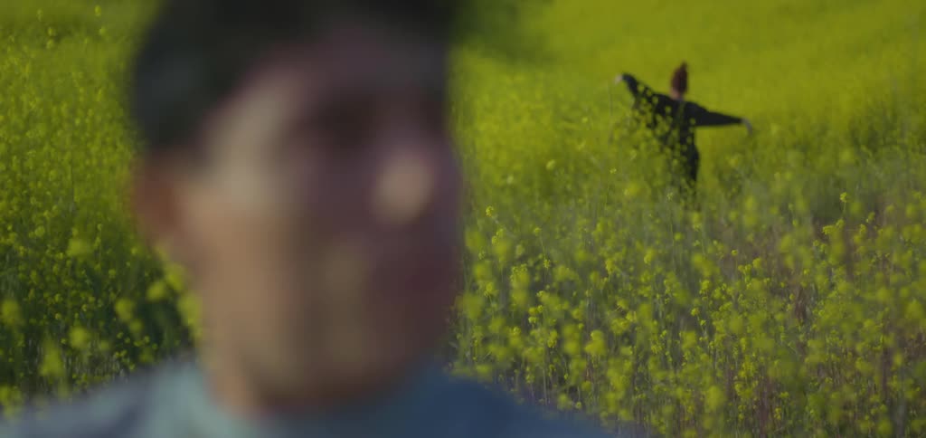 Man in the foreground contrasts with woman dancing in the background in a yellow flower field