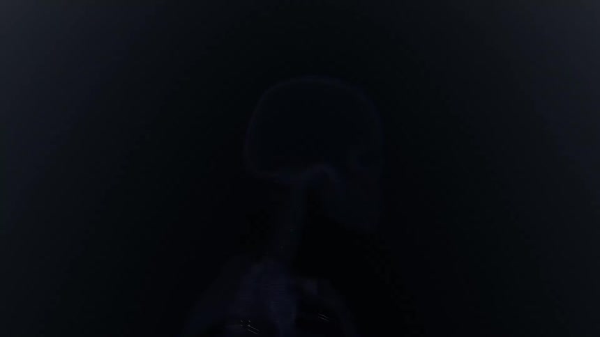 Human skeleton in profile is displayed in bluish tone against a dark background