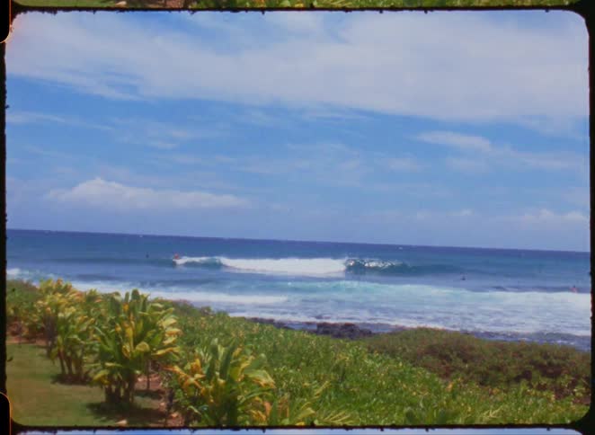 Tropical seaside landscape
