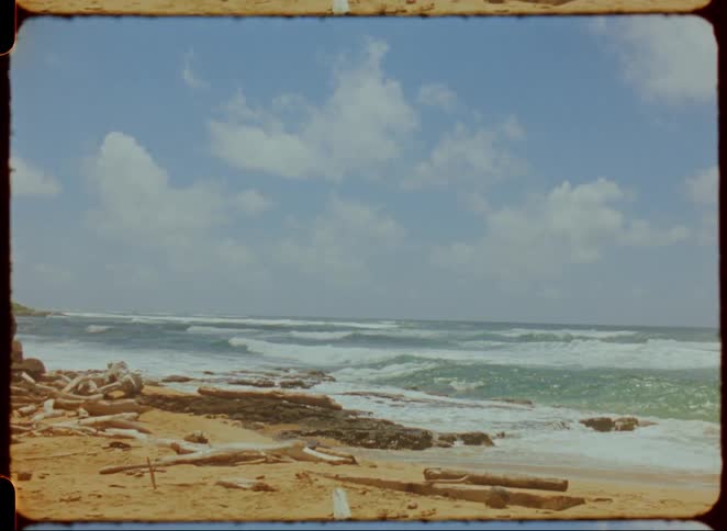 Landscape of a beach with tree trunks on the sand
