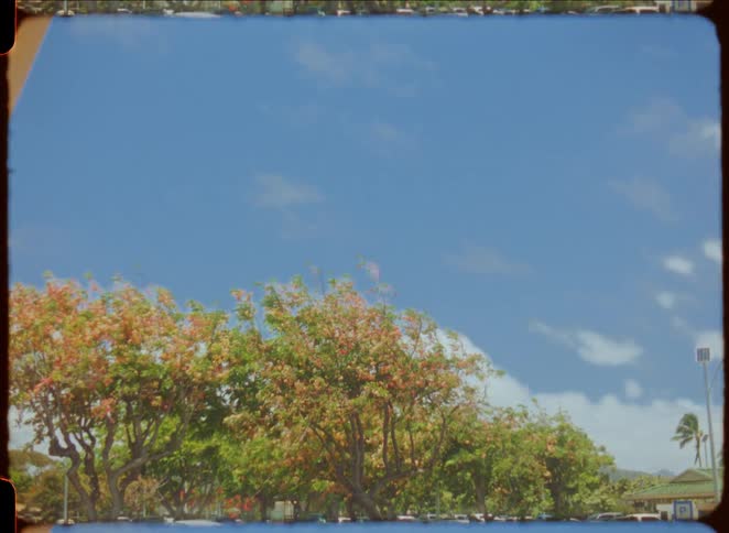 Rows of trees with leaves separate a grassy field and a clear sky with clouds