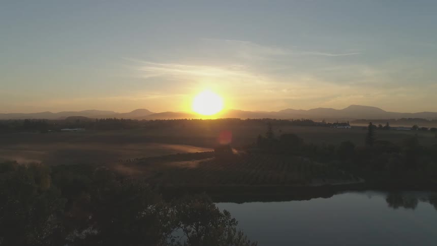 Sunrise in a farm field