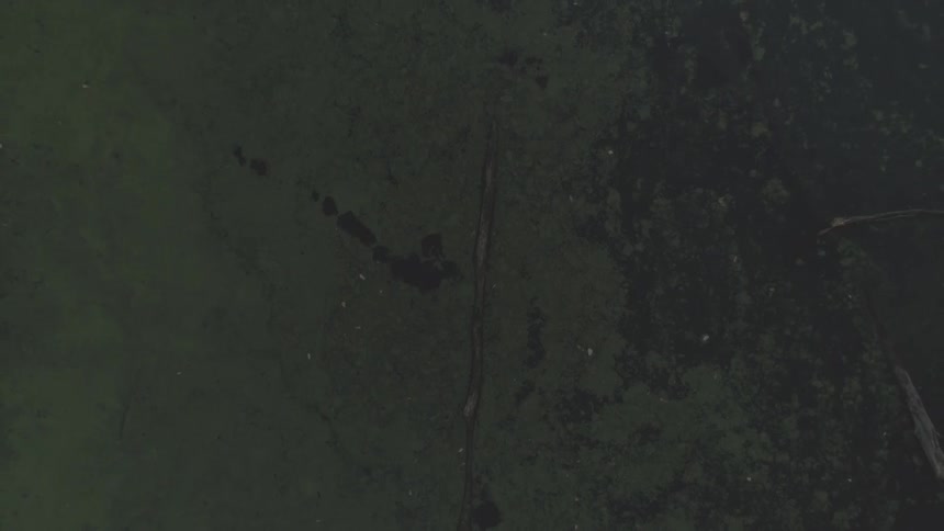 A large textured surface with dark gray and olive green sections is seen from a high angle
