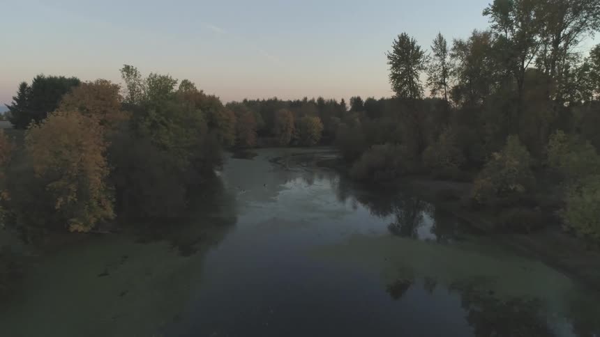 Moving over a river through the forest