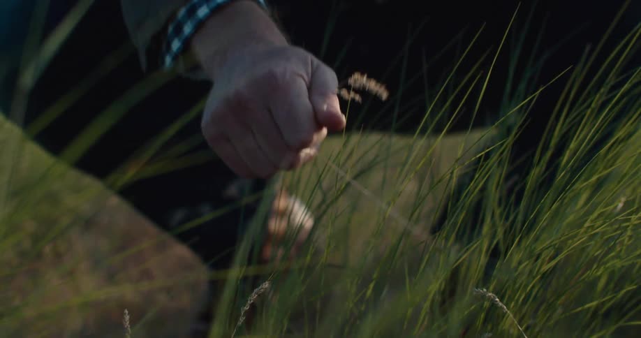 Person crouching outdoors picking a flower