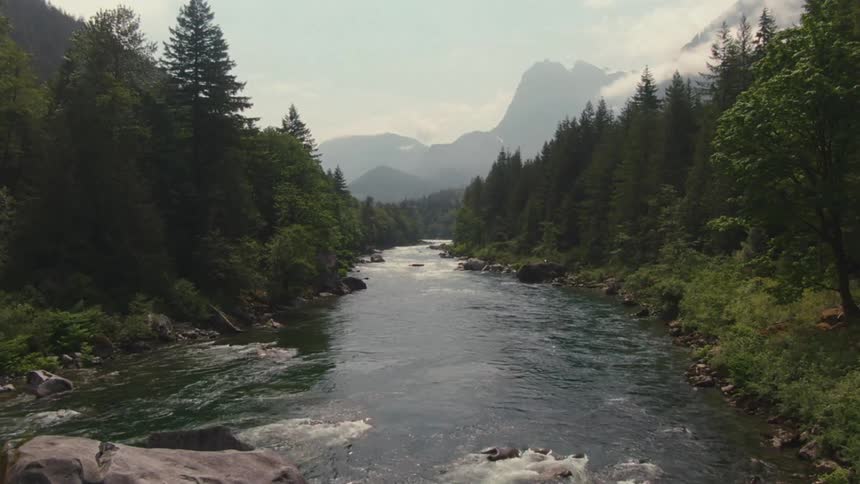 A stream in the woods flowing gently over small rocks flanked by trees on both sides with a mountain range in the background