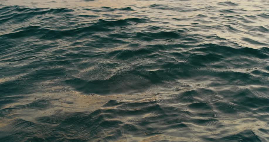 A view from a low angle shows the dark green ocean water with a slight ripple and a muted yellowish glow from the sky above is reflected on the surface of the water