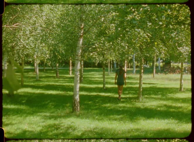 Person walks among aligned trees in a green park