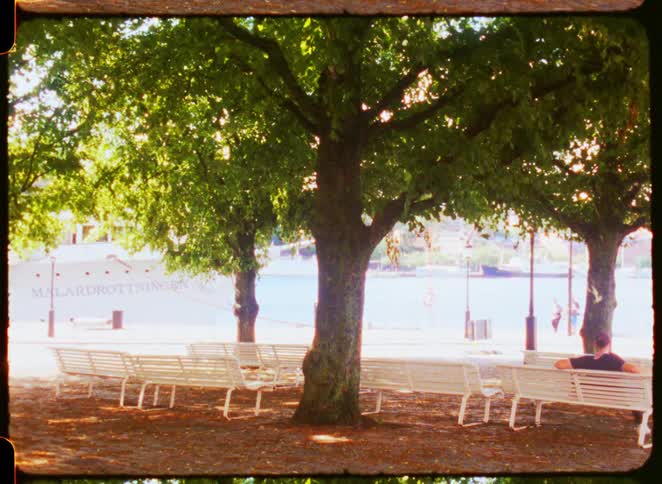 People are walking in the park on a sunny day