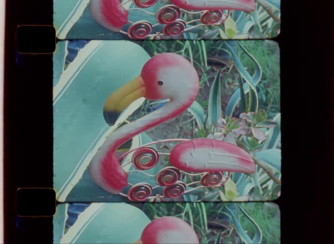 Pink flamingo ornaments appear in a garden with green plants