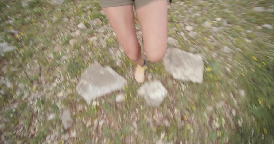 Person walking through a terrain with rocks and small wildflowers