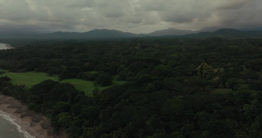 An aerial view shows waves rolling onto a secluded beach lined with dense green trees