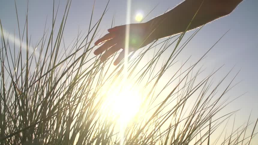 A person traces her hand across grass