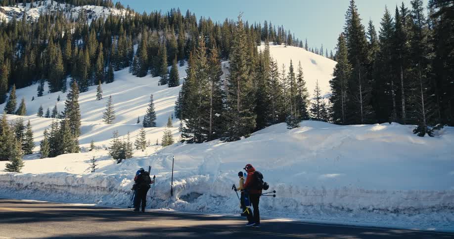 People walking with ski equipment along a road in a snowy area surrounded by pine trees