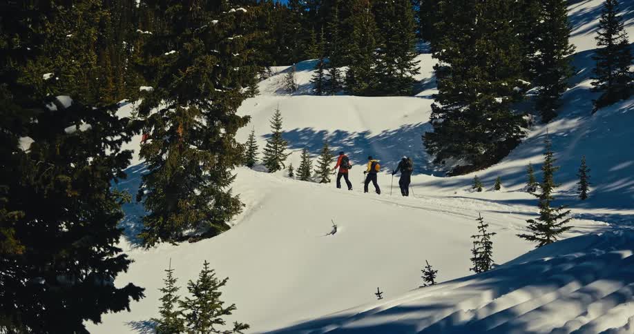 A group of people in winter clothing wearing skis and holding ski poles walks on the snow surrounded by trees at midday