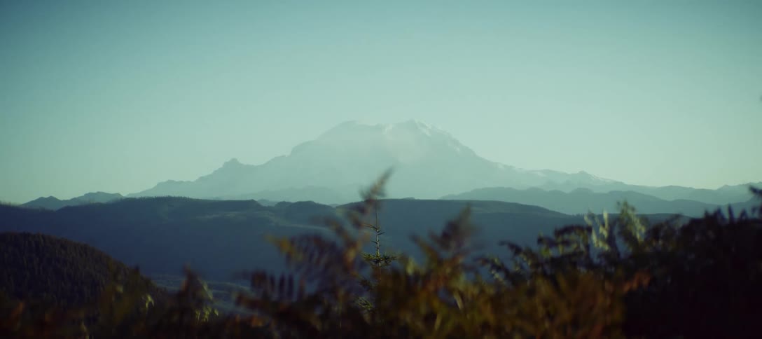 Horizon mountain landscape with plants in the foreground