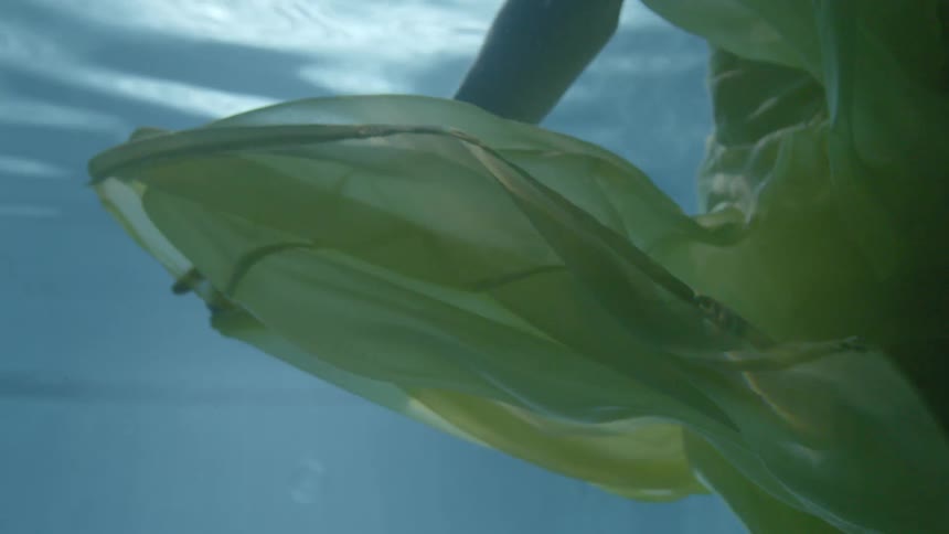 A woman pulls her dress around in the water