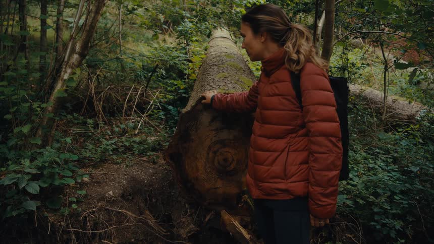 A woman touches a fallen tree trunk in a forest while hiking during daytime