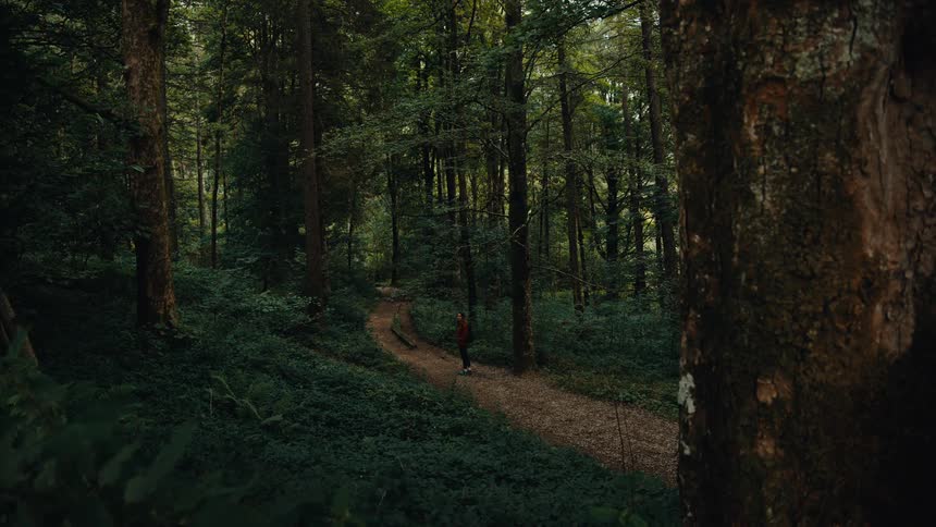 The video shows a person with a backpack walking along a winding dirt path through a dense forest the path curves through tall trees and is surrounded by lush green foliage