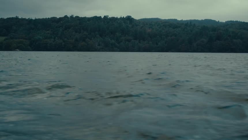 Calm ocean with trees in the background