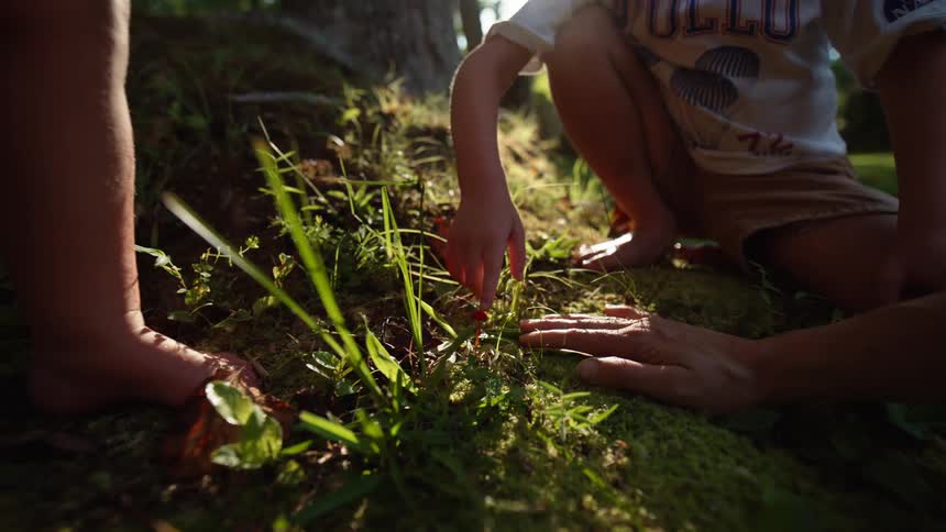 An adult hand and a childs hand reach toward a red berry plant on the ground