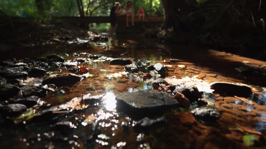 A small shallow creek with a dark rocky bottom is illuminated by bright sunlight as the camera slowly pulls up to reveal a family of four including two adults and two children sitting together on a wooden bridge in a heavily wooded park