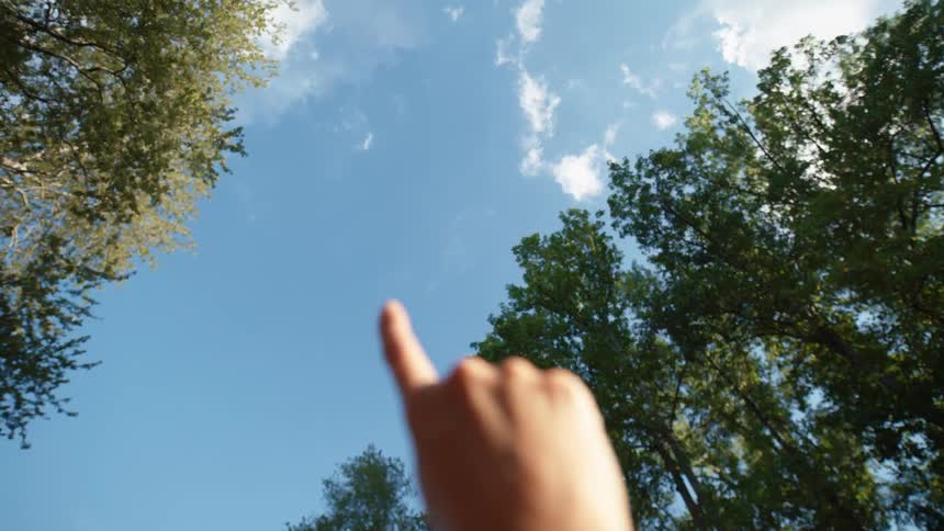 Close up of a persons hand as they point to the sky while standing outdoors in a forest area during daytime