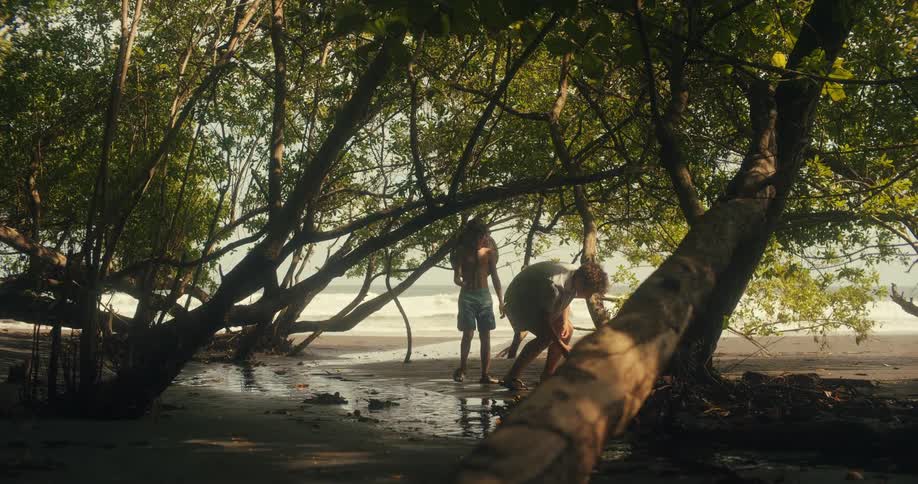 A low angle view from a tropical forest shows a man and a boy walking on a wet sandy beach near the water before they turn and walk back into the shadows of the trees
