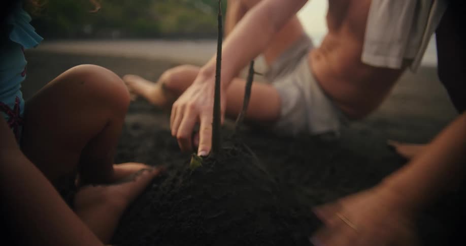 Children playfully build a small sand structure using sticks on a beach