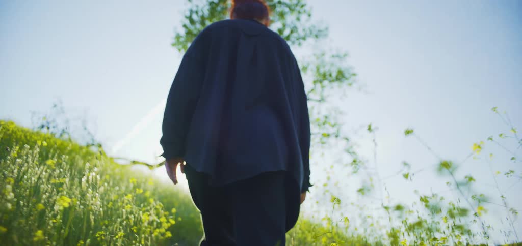 A lowangle shot captures a person with their back to the camera walking through a vibrant field of yellow wildflowers the bright sun creates a lens flare and a lone tree stands in the background against a light blue sky