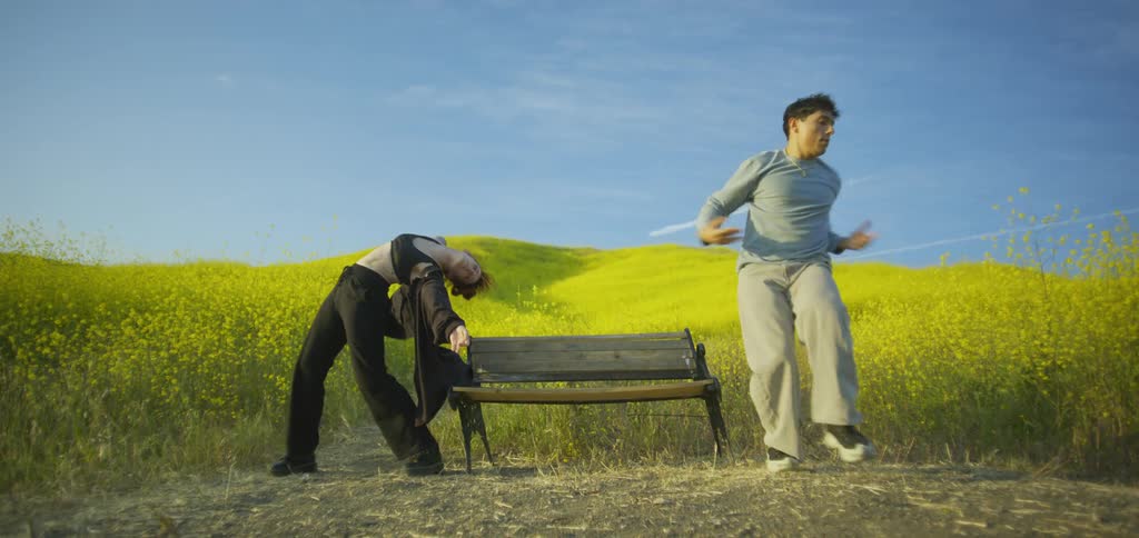 Two performers are dancing in a vibrant field of yellow flowers one person with red hair is bent backward over a wooden bench while the other with dark hair moves dynamically beside them