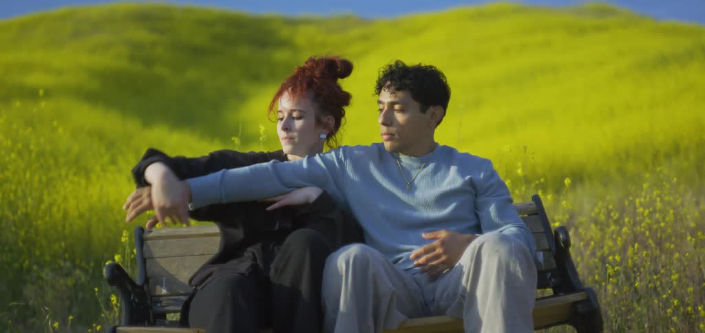 A couple a man and a woman sitting on a bench in the middle of a grassy field dancing with their hands